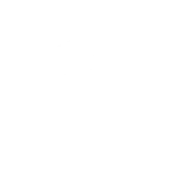Phase II Publishing